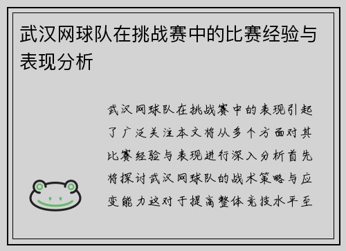 武汉网球队在挑战赛中的比赛经验与表现分析